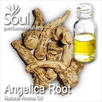 Natural Aroma Oil Angelica Root - 50ml - Click Image to Close