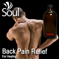 Essential Oil Back Pain Relief - 500ml - Click Image to Close
