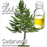 Natural Aroma Oil Cedar Wood - 10ml - Click Image to Close