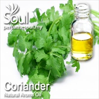 Natural Aroma Oil Coriander - 50ml - Click Image to Close