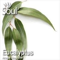 Aroma Soap Bar Eucalyptus - 1kg