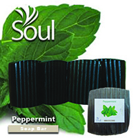 Aroma Soap Bar Peppermint - 1kg - Click Image to Close
