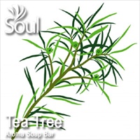 Aroma Soap Bar Tea Tree - 500g
