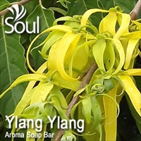 Aroma Soap Bar Ylang Ylang - 1kg - Click Image to Close