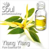 Pure Essential Oil Ylang Ylang - 10ml - Click Image to Close