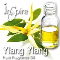 Fragrance Ylang Ylang - 10ml - Click Image to Close