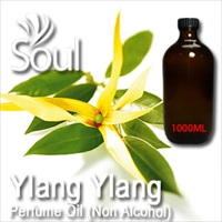 Perfume Oil (Non Alcohol) Ylang Ylang - 1000ml - Click Image to Close